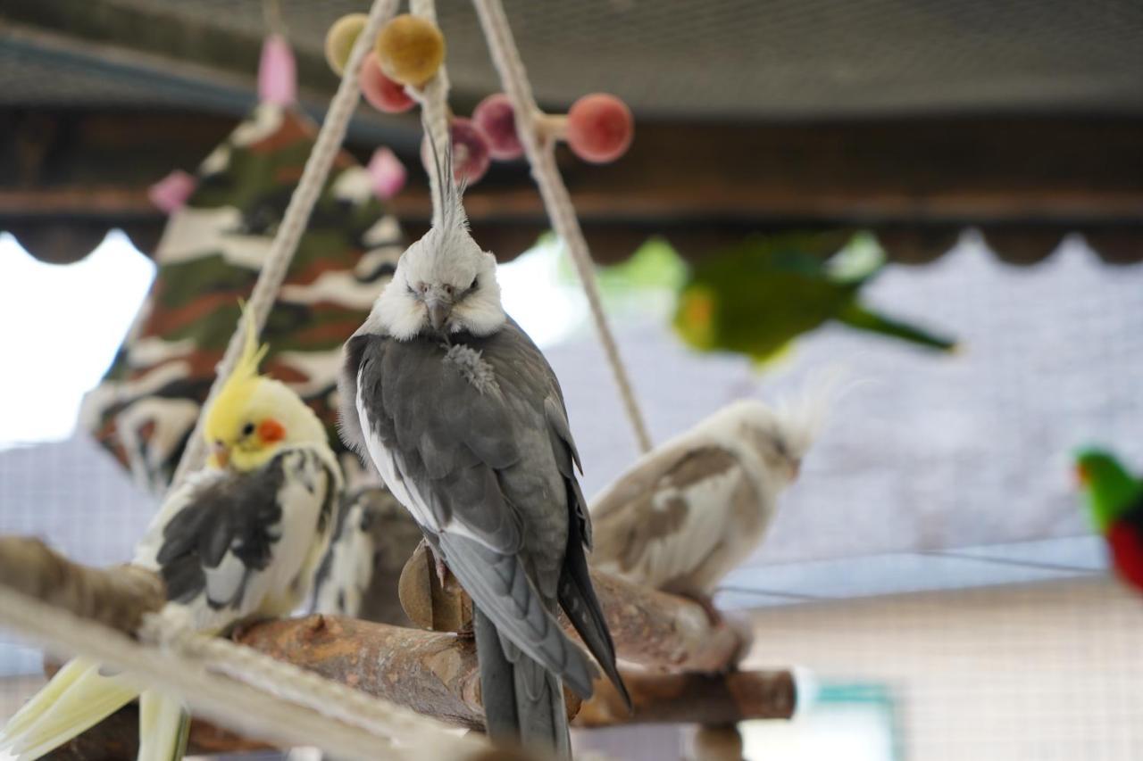 Maerchencamping Stuhr Dış mekan fotoğraf